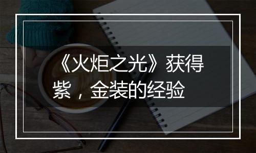 《火炬之光》获得紫，金装的经验