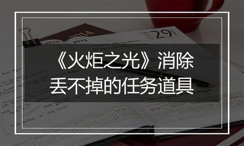 《火炬之光》消除丢不掉的任务道具