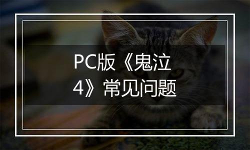PC版《鬼泣4》常见问题