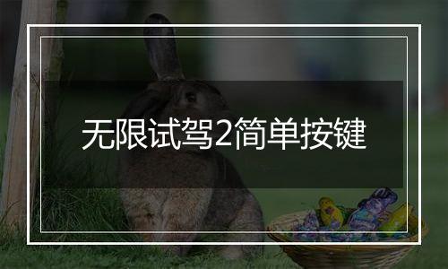无限试驾2简单按键