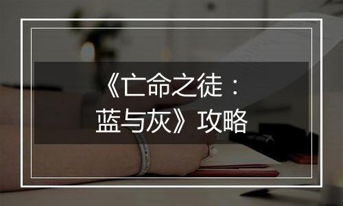 《亡命之徒：蓝与灰》攻略