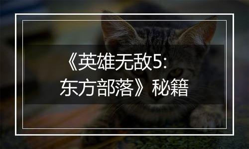 《英雄无敌5:东方部落》秘籍