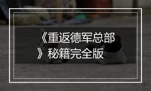 《重返德军总部》秘籍完全版