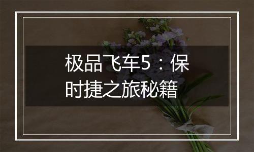 极品飞车5：保时捷之旅秘籍