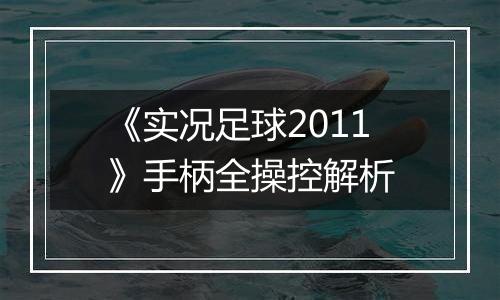 《实况足球2011》手柄全操控解析