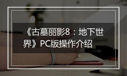 《古墓丽影8：地下世界》PC版操作介绍