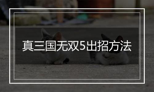 真三国无双5出招方法