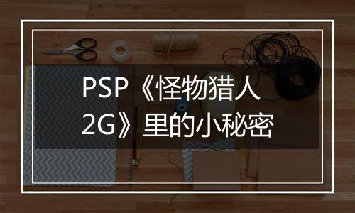 PSP《怪物猎人2G》里的小秘密