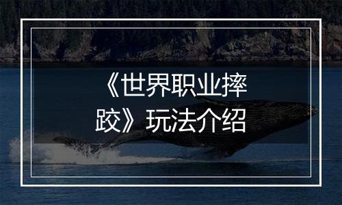 《世界职业摔跤》玩法介绍