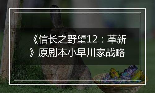 《信长之野望12：革新》原剧本小早川家战略