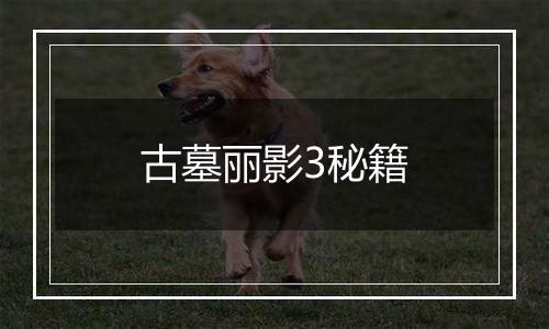 古墓丽影3秘籍