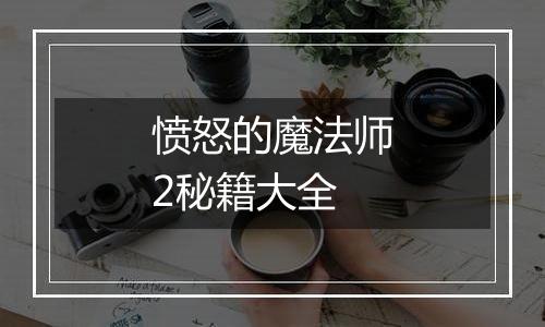 愤怒的魔法师2秘籍大全