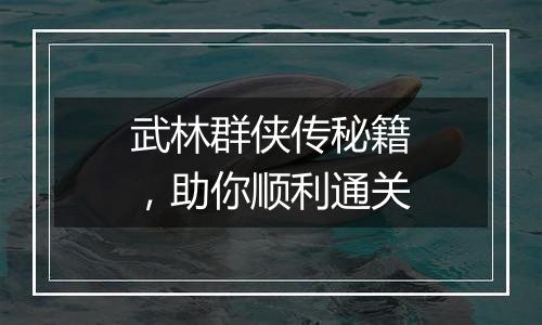 武林群侠传秘籍，助你顺利通关