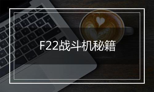 F22战斗机秘籍