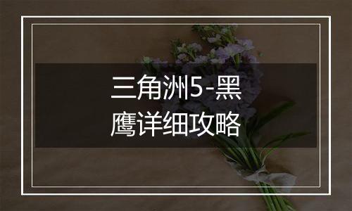 三角洲5-黑鹰详细攻略