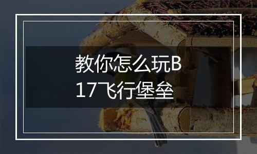 教你怎么玩B17飞行堡垒