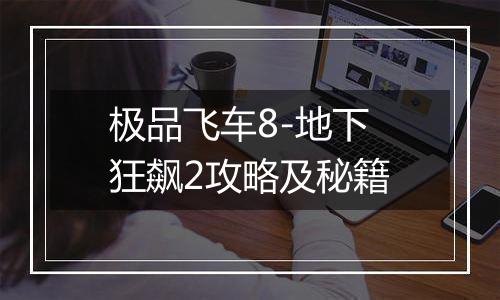 极品飞车8-地下狂飙2攻略及秘籍