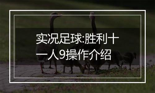 实况足球:胜利十一人9操作介绍