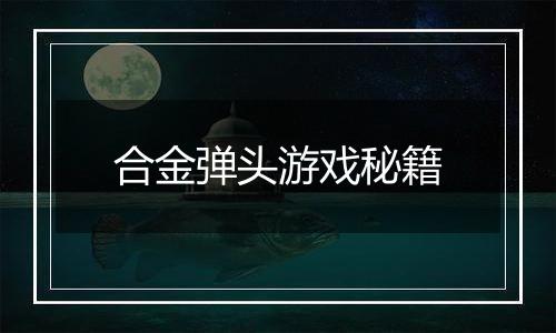 合金弹头游戏秘籍