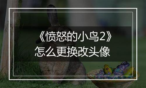 《愤怒的小鸟2》怎么更换改头像