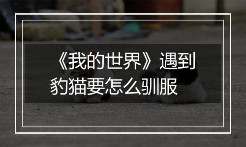 《我的世界》遇到豹猫要怎么驯服