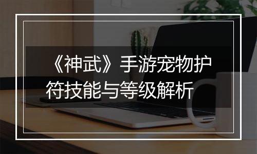 《神武》手游宠物护符技能与等级解析
