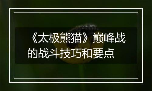 《太极熊猫》巅峰战的战斗技巧和要点
