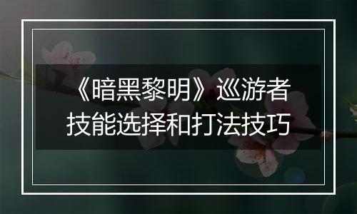 《暗黑黎明》巡游者技能选择和打法技巧