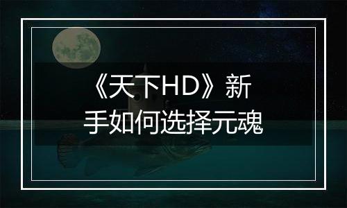 《天下HD》新手如何选择元魂