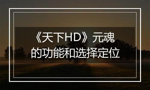 《天下HD》元魂的功能和选择定位
