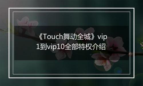 《Touch舞动全城》vip1到vip10全部特权介绍