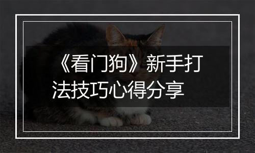 《看门狗》新手打法技巧心得分享