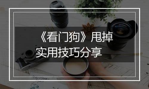 《看门狗》甩掉实用技巧分享