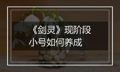 《剑灵》现阶段小号如何养成