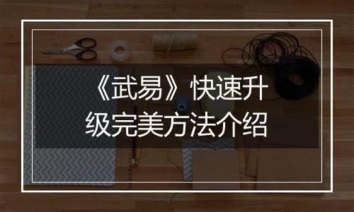 《武易》快速升级完美方法介绍