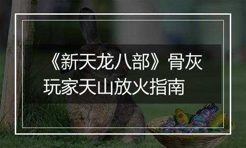《新天龙八部》骨灰玩家天山放火指南
