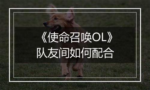《使命召唤OL》队友间如何配合