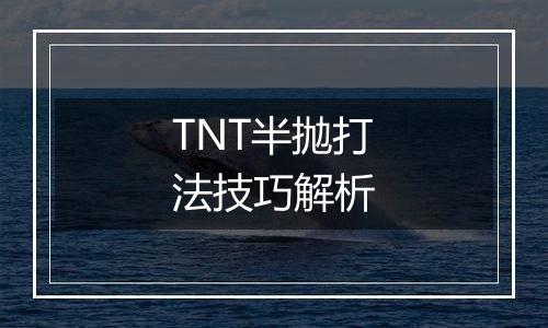 TNT半抛打法技巧解析