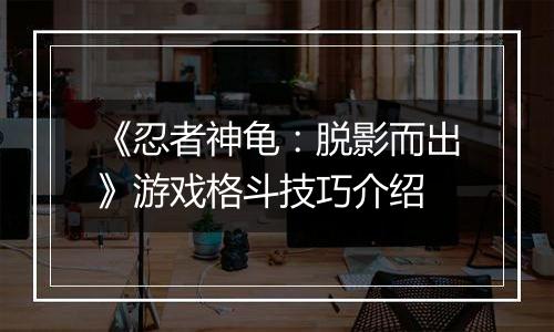 《忍者神龟：脱影而出》游戏格斗技巧介绍