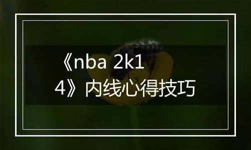 《nba 2k14》内线心得技巧