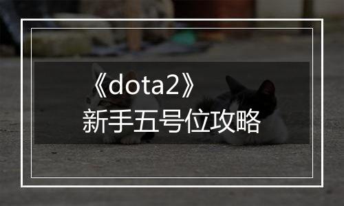《dota2》新手五号位攻略