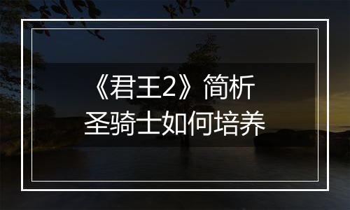 《君王2》简析圣骑士如何培养