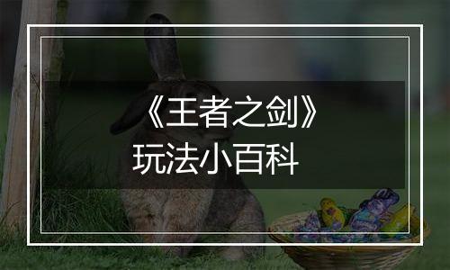 《王者之剑》玩法小百科