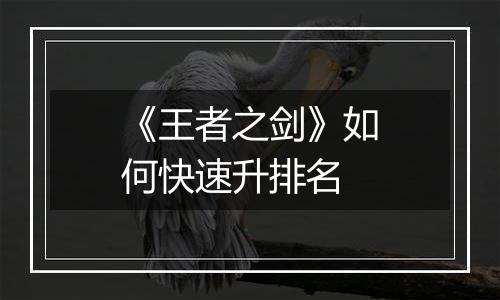 《王者之剑》如何快速升排名