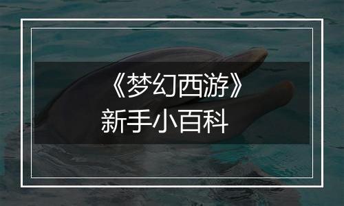 《梦幻西游》新手小百科