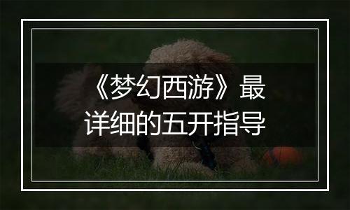 《梦幻西游》最详细的五开指导