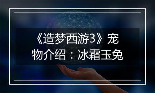《造梦西游3》宠物介绍：冰霜玉兔