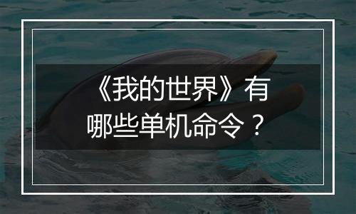 《我的世界》有哪些单机命令？