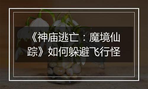 《神庙逃亡：魔境仙踪》如何躲避飞行怪