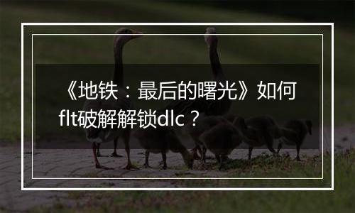 《地铁：最后的曙光》如何flt破解解锁dlc？